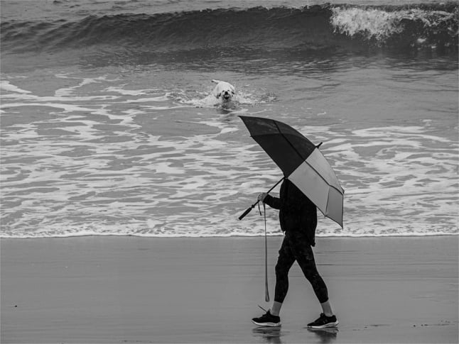 2nd - Novice / Intermediate Mono - Dog Walker on Tenby Beach - Trevor Brown