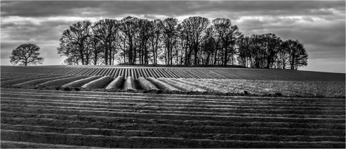Furrows